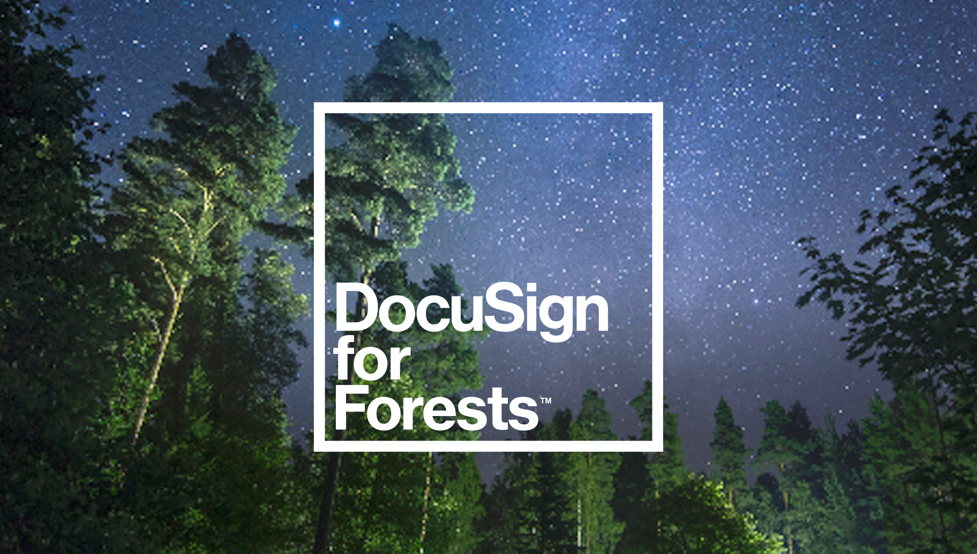 DocuSign for Forests still image
